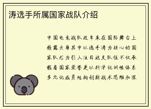 涛选手所属国家战队介绍