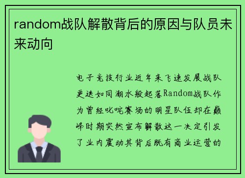 random战队解散背后的原因与队员未来动向