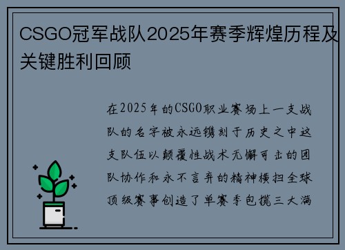 CSGO冠军战队2025年赛季辉煌历程及关键胜利回顾